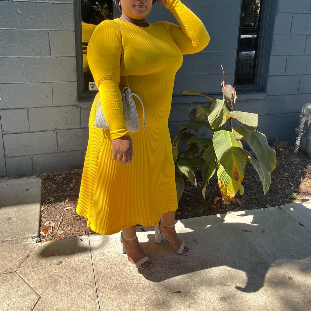 Long sleeve Zara Dress